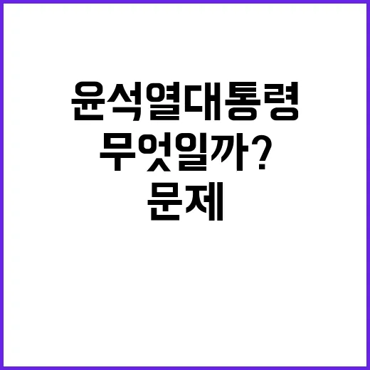 윤석열 대통령의 가…