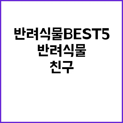 반려식물 BEST …