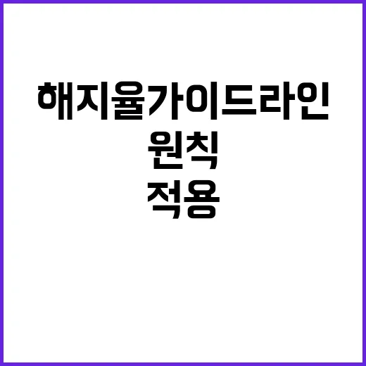 금융위 해지율 가이…