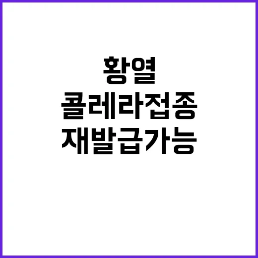 황열·콜레라 접종증…