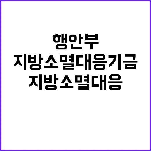 지방소멸대응기금 행…