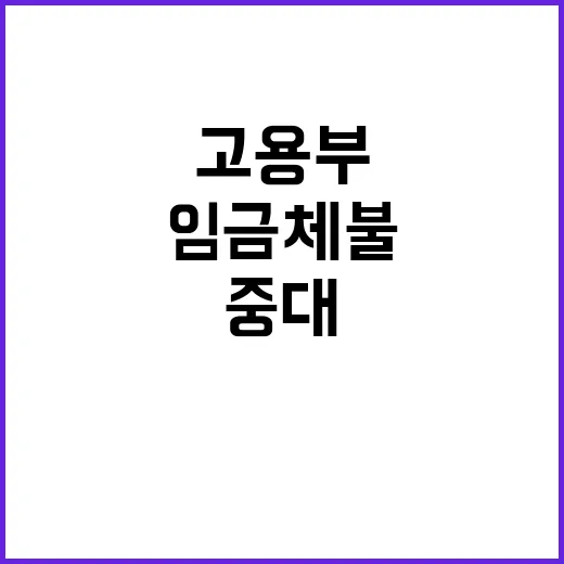 임금체불 중대범죄로…