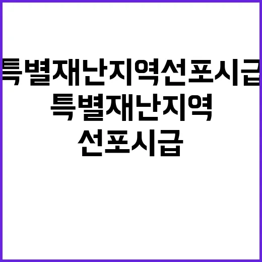 특별재난지역 선포 …