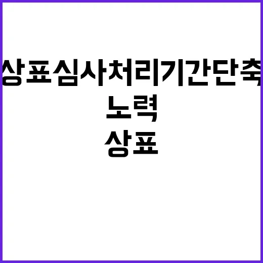 상표심사 처리기간 …