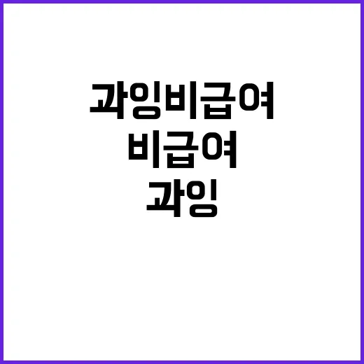 비중증 과잉 비급여…