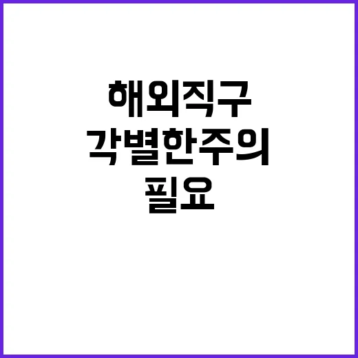 “연말 해외직구 각…