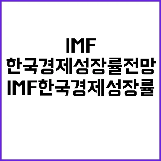 IMF 한국 경제 …