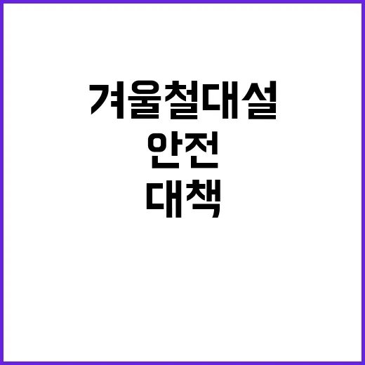 겨울철 대설 안전 …