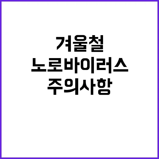 노로바이러스 겨울철…