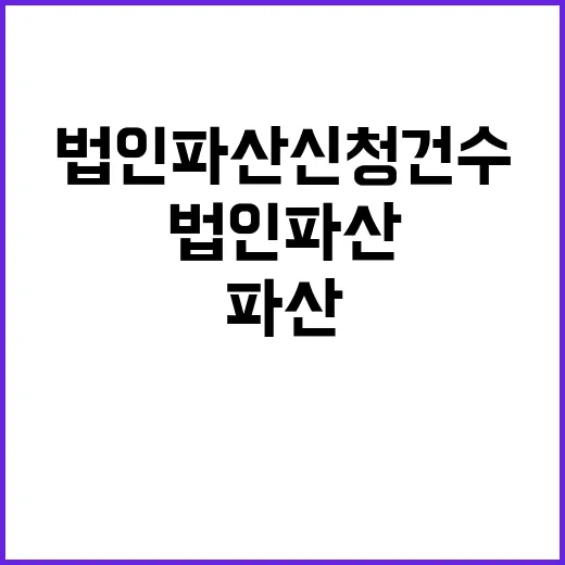 법인 파산 신청 건…