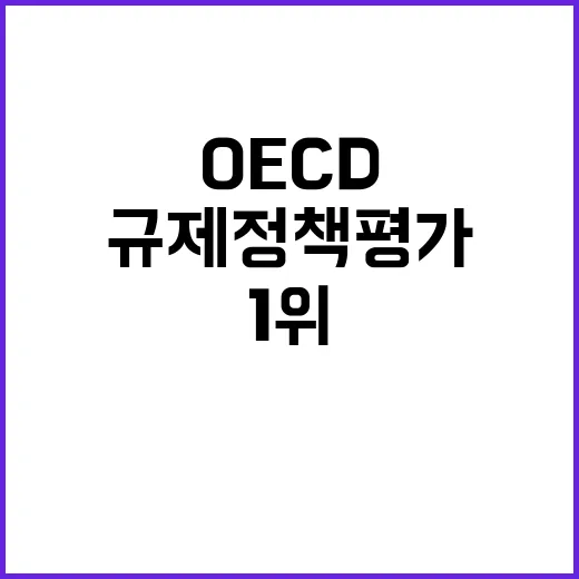 OECD 1위 규제정책 평가의 놀라운 비밀 공개!