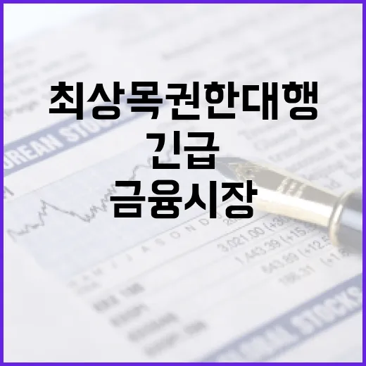 금융시장 점검체계 최상목 권한대행의 긴급 당부!