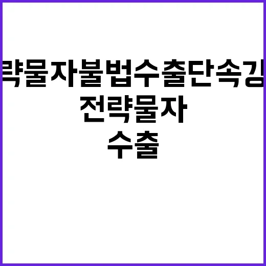 전략물자 불법수출 단속 강화 위한 협력 시작!