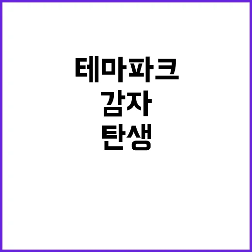 감자 사업 기회로 …