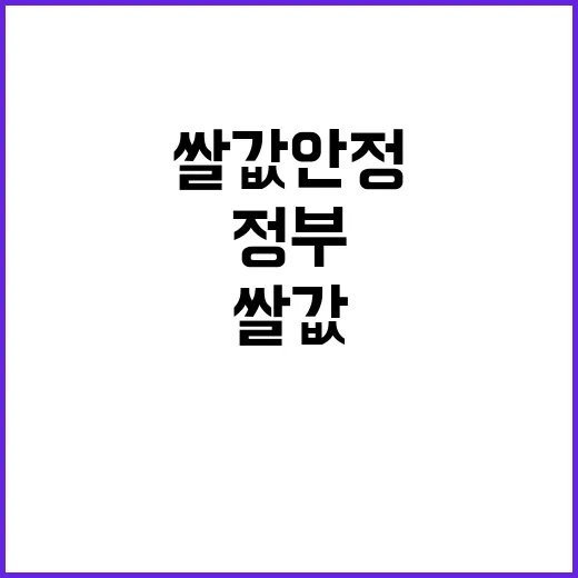 쌀값 안정 정부 매입 없다! 진실은 무엇?