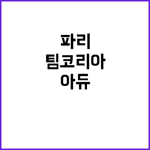 금 13개 팀코리아…