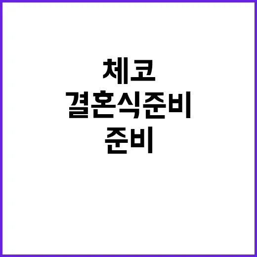 “체코 원전 결혼식…