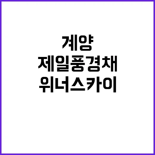 제일풍경채 계양 위너스카이 B블록 분양가 청약 일정은?