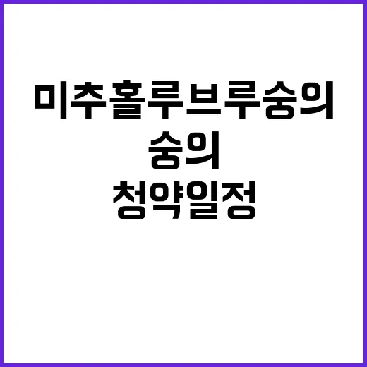 미추홀 루브루 숭의 청약 일정 가격 혜택 공개!