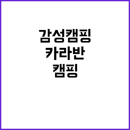 하버드카라반