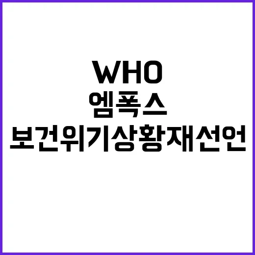 엠폭스 WHO 국제보건위기상황 재선언! 국내 대응 강화!