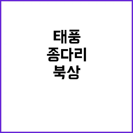 태풍 ‘종다리’ 북…