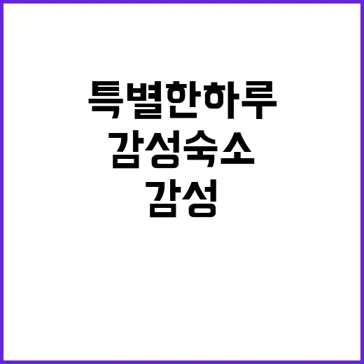 해이든 지앤에스 특…