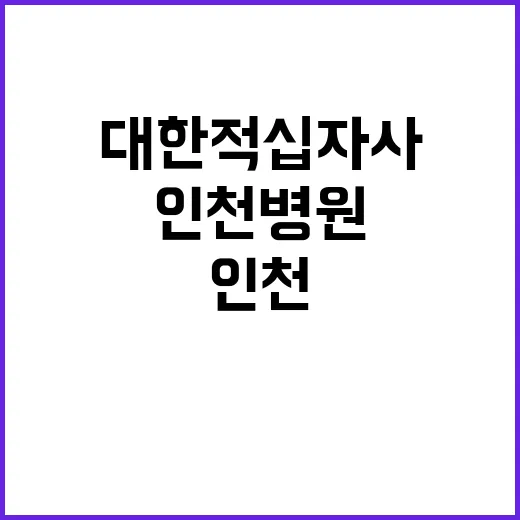 대한적십자사 비정규…