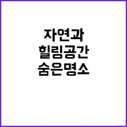 자연과 숲 완벽한 …