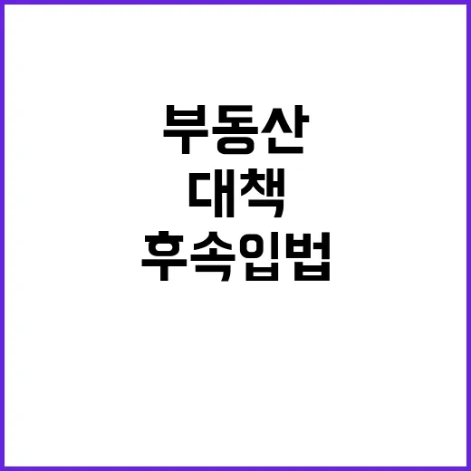 부동산 대책 9월 …