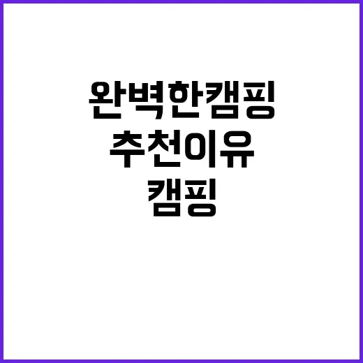 캠핑WE 완벽한 캠…