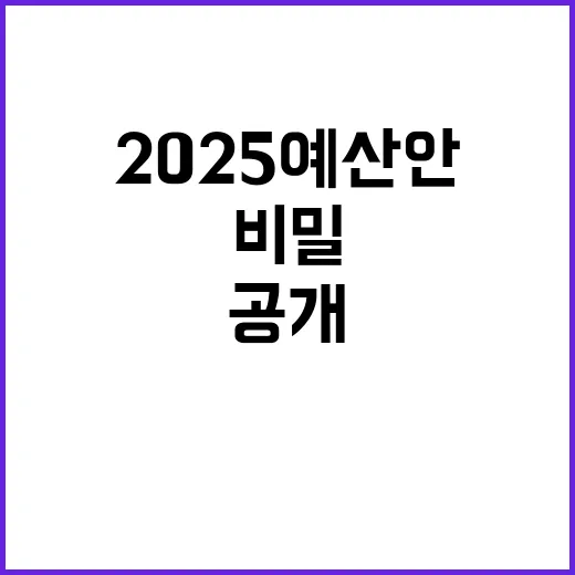 2025 예산안 삶과 미래를 지키는 비밀 공개!