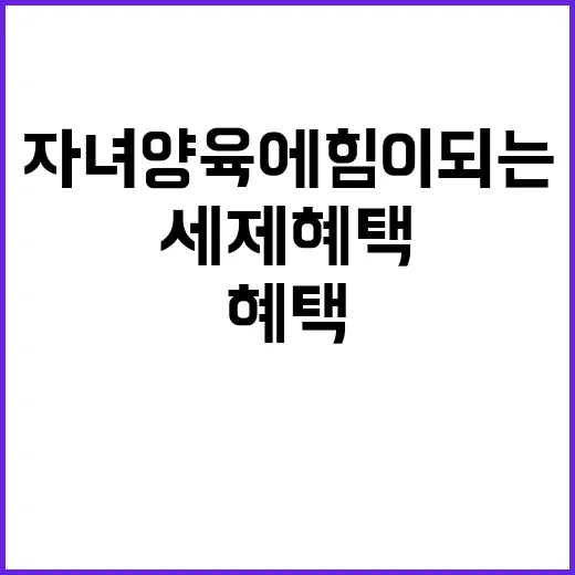 세제혜택 자녀 양육…