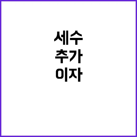 세수부족 기재부 이…