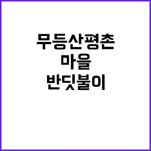 가을밤 반딧불이 무…