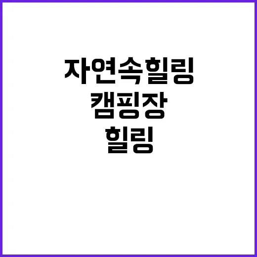 낙조힐링캠핑장 자연…