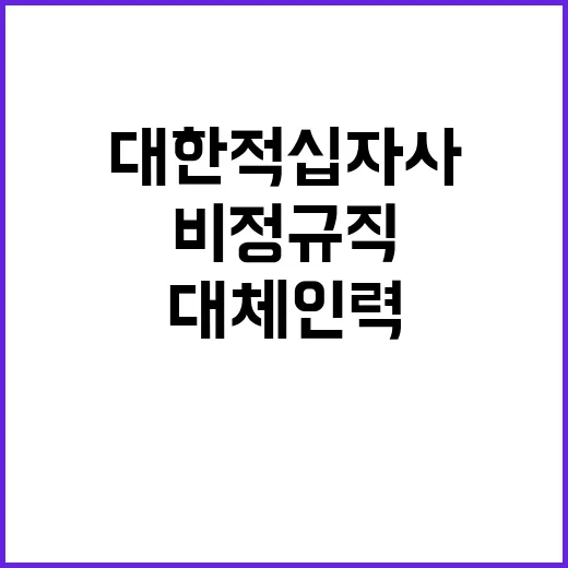 대한적십자사 비정규…