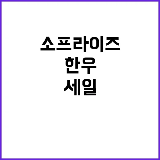 한우 반값 소프라이…