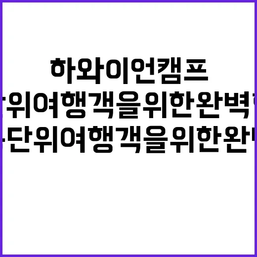 하와이언캠프 가족 …