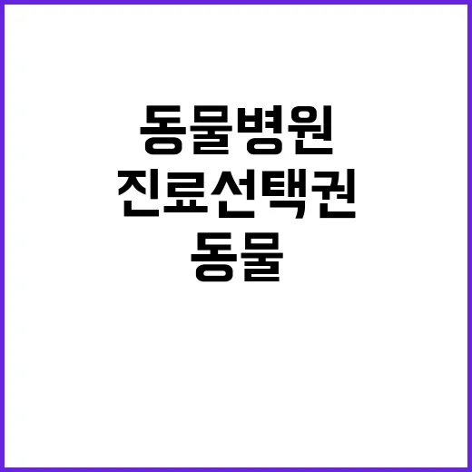 비용 공개 동물병원…