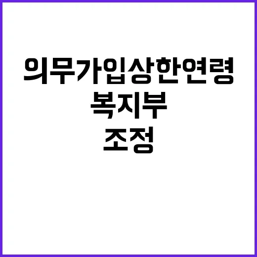 복지부 “의무가입 상한 연령 조정 장기적 과제”