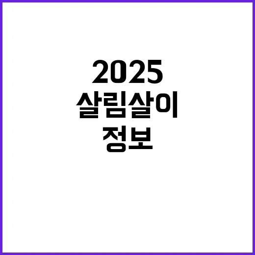 2025 예산안 살…