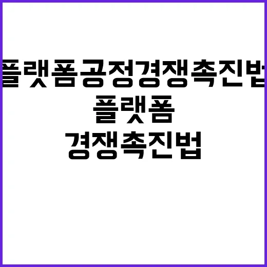 “플랫폼 공정경쟁 촉진법 확정되지 않은 진실 공개”