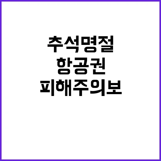 항공권 피해주의보 추석 명절 대비 필독!