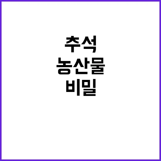 농산물 가격 등락 추석 뒤의 진짜 비밀 공개!