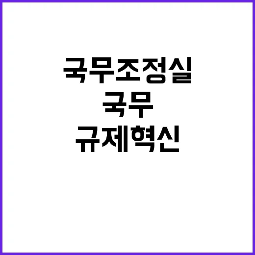 규제혁신 국무조정실의 비밀스러운 전략 공개!