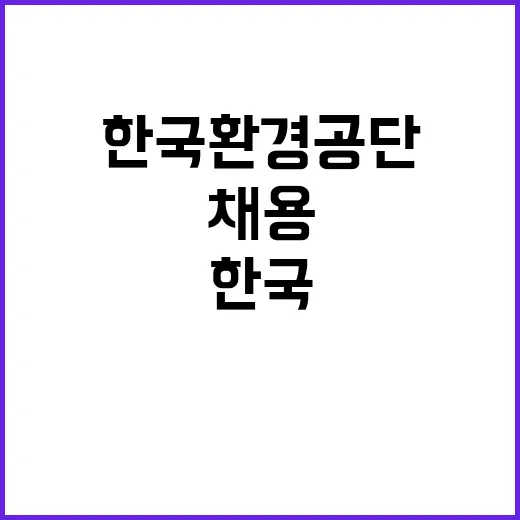 한국환경공단 비정규…