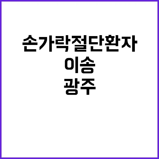 “복지부 광주 손가락 절단 환자 신속 이송 발표”