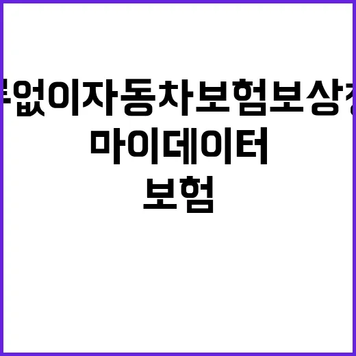 마이데이터 서류 없…