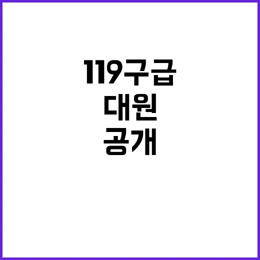 구급대원 119 구급확인센터 활용 비밀 공개!